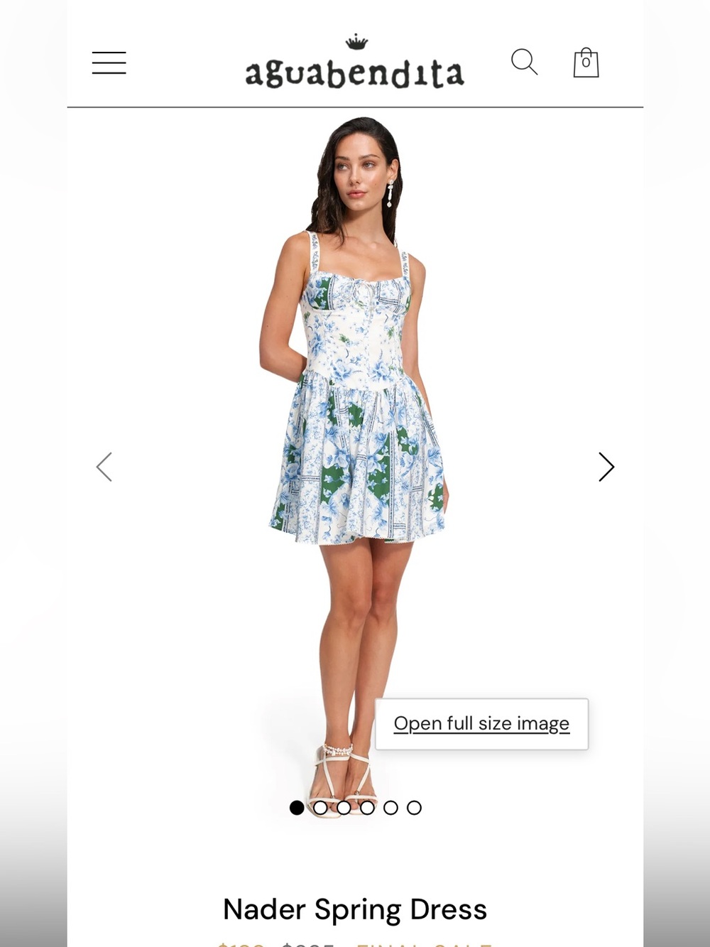 NWT Aguabendita Mini Dress in blue and green floral print